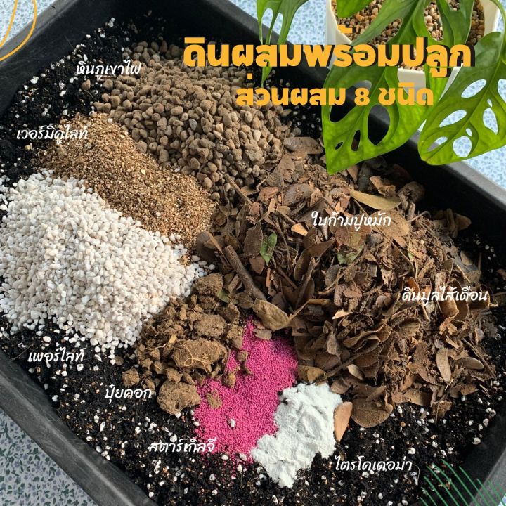 ดินผสมพร้อมปลูก 8 ชนิด สูตรไม่ผสมขุยมะพร้าว