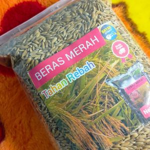 Jual benih padi merah bogor bandung 1 kg terbaik