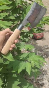 Pengupas Kelapa/ Kampak Kupas Kelapa Bahan Baja Per