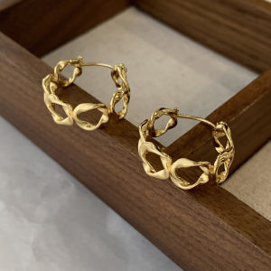 Mysterious S925 Silver Needle Hollow Circle Earrings Unique Design Mobius Style Womens Fashion Jewelry Ear Jewelry