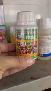 Phân bón lá cao cấp Hoa Kỳ Roots 2 - Kích thích ra rễ cực mạnh (100mL)