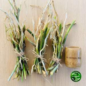 Akar daun pandan wangi / khusus akar pandan-az