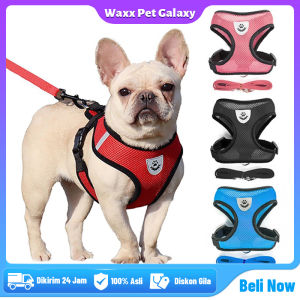 Harness Dada kucing Dan Anjing Bersikulasi Udara Tali Hewan Peliharaan Bereflektif Aksesoris Hewan