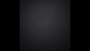 Kaos Baju Wanita Cewek Lengan pendek Kata Kata Keren Nyindir Model Terbaru 2022 2023 No Thanks