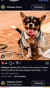 ⭐Migo Design 00⭐ BEST SELLER Jas Tuxedo Kucing/ Anjing Premium Pesta / Pakaian AnaBul Kucing/  Anjing  Baju Hewan Peliharaan / Pet Costume Resmi Party Kasual