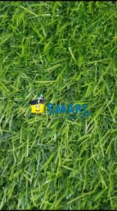 SNOWMAN BALLPOINT BP-7 MERAH