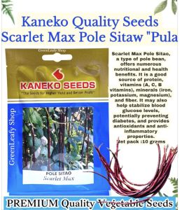 KANEKO SEEDS SCARLET MAX RED POLE SITAO SITAW STRING BEANS EGGPLANT TALONG High Quality  Vegetable Gulay ng Pinoy Seeds/Hydroponics GreenLeafy Shop