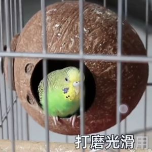 Coconut shell bird nest Coconut bird house for cockatiel love birds parakeet Bird coconut house fixed in birdcages