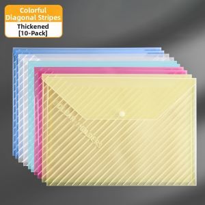Translucent A4 Document Storage Bag