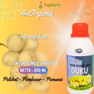 Pupuk Duku Biar Cepat Berbuah / Pupuk Booster Buah Duku / Pupuk Pelebat Buah Duku / Pupuk Buah Duku / Pupuk Pelebat Buah / Pupuk Pohon Duku
