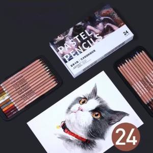24สีศิลปินเกรดสีชาร์โคล/เต็มแกนผงดินสอชุดศิลปะนักเรียนกลางแจ้งภาพวาดรายละเอียดร่างดินสอถ่าน