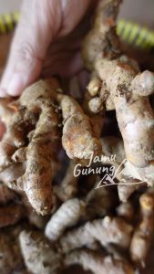Kunyit Emprit 250gr atau Kunir Jamu Organik - Lebih Berasa
