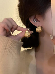 S925 Silver Needle Fashionable Matte Metal Style Earrings Simple Commute Versatile Quality Ear Studs French Style Jewelry