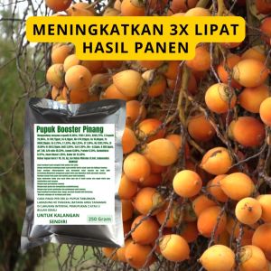Pupuk Booster Pinang: Memaksimalkan Pertumbuhan dan Buah Pinang