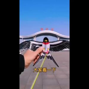 【Rafayel】เชือก ว่าวสายรุ้ง ว่าวไดนามิกพลาสติก สําหรับชายหาด และกิจกรรมกลางแจ้ง