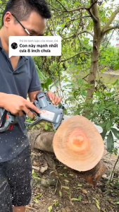 Máy cưa xích Lam 8inch DRAMA D21-08PRO phiên bản cải tiến bơm nhớt tự động động cơ không chổi than chân pin phổ thông