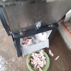 Máy Cắt Cá Mồi - Máy Thái Cá Nuôi Tôm...