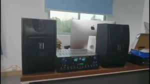 ชุดลำโพงขยายเสียงคาราโอเกะกำลังสูง 5 ช่อง เครื่องขยายเสียง 8 นิ้ว ระบบบลูทูธ Hifi KTV ในบ้านพร้อมสายสัญญาณเสียง