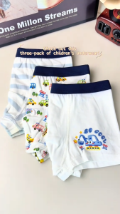 Cacti Keno 3Pcs Cotton Boys Boxer Cartoon Antibacterial Safety Underwear For for Kids Boy 1-15 Years
