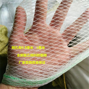 Bird Proof Net Hail Protection Net Cherry Tree Net Grape Farming Net Fish Pond Protection Net Outdoor Camping Travel Gear