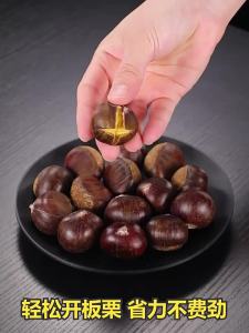 GEDO | Household Stainless Steel Chestnut Shell Cracker