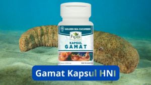 Obat Alergi Alami | HNI Gamat Emas Kapsul | Cacar Air | Campak | Gatal Gatal | Biduran | Bentol