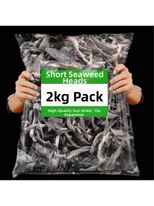 Fresh Authentic Xiapu Dried Kelp Extra Thick Short