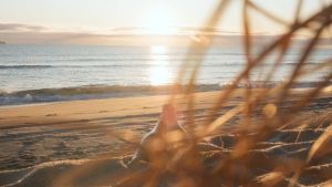 Blue Nun 24k Sparkling Wines 750ml (Gold Rose)