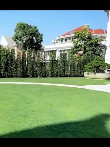 high quality 25MM Artificial Grass Outdoor Rug Synthetic Thick Lawn Astro Turf Carpet Perfect for Indoor/Outdoor Fake Grass Rug