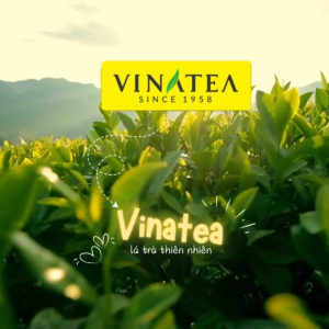 VINATEA - Trà Xanh Thái Nguyên Dạng Rời Cao Cấp Hương Cốm Vị Đậm Hậu Ngọt Tự Nhiên Tốt Sức Khỏe