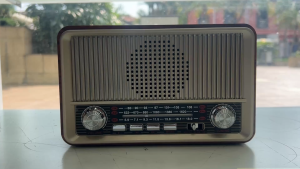 SGG SG-510BT Vintage Design with BT MP3 Player & Radio Functions