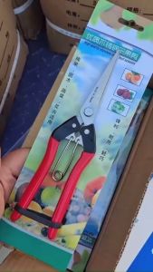 Kéo Tỉa Cây Cảnh Kéo Tỉa Mũi Nhọn Cây Bonsai Thép SK5 Siêu Bền và Sắc Bén