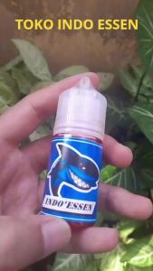 Rekomendasi Essen Ikan Mas Jitu & Viral – Ampuh Buat Lomba Harian KiloGebrus