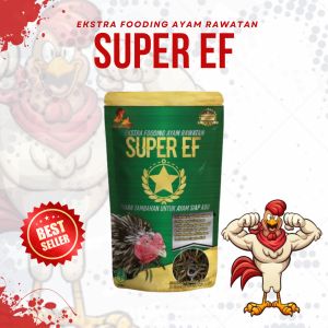 Exstra Fooding Ayam Bangkok Aduan Super EfJamu Pemulihan Nafsu Makan Pembentuk Otot & Pemulihan Ayam Kurus Kering.