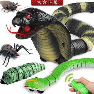 Đồ Chơi Rắn Bò Điều Khiển Từ Xa Nhện Điện Gián Giả Lập Thực Tế Đồ Chơi Khôi Hài Côn Trùng Nhựa Dành Cho Thanh Thiếu Niên