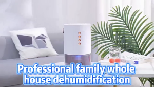ArcticBreeze 9L Per Day Home Dehumidifier 1.3L Water Tank UV Sterilization & Remote Control Energy‑Saving Dehumidifier For Bedroom Small Room