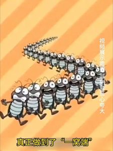 No Cockroach for 100 Years: Long Acting Cockroach Gel Bait & Killer Trap