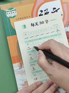 Chinese Characters Calligraphy Hong Copybook Training For 1-6 Grade Chinese PinYin Hanzi Beginners Writing Language Textbooks每日30字一年级上下册字帖语文点阵同步练字帖二三四五六年级下册练字帖人教版小学生专用每日一练描红练字本
