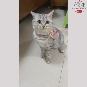 Luka😊พร้อมส่ง💯  สายจูงรูปหมีน้อย สำหรับสัตว์เลี้ยง แมว กระต่าย หมา ใช้ได้ สายจูงแมว สายจูงหมา สายจูงสุนัข สายจูงกระต่าย สายจูง