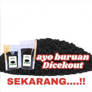 Jintan Hitam Habbatussauda: Manfaat & Penggunaan Bumbu Dapur Herbal JSR Asli
