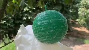 📣พร้อมส่งจากไทย📣กาวดักแมลงหวี่ 8ซม กาวดักแมลง กำจัดแมลงหวี่ ยาฆ่าแมลงหวี่ ยาดักแมลงผัก กาวดักแมลงวัน กางดักแมลง กาวแน่น แผ่นดักแมลง กาวกำจัดแมลง