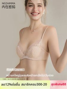 NEIZAIMIMA | French Style Thin Bra with Soft Steel Circles for Large Breasts Breathable Seductive Lace Anti-Sagging