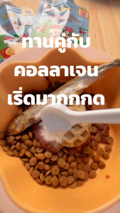 Petoya x Gimme ซุปคอลลาเจนฟรีซดรายสำหรับสุนัขและแมว บำรุงขน กล้ามเนื้อ และข้อ ทำให้อร่อยและเพิ่มคุณค่าทางอาหาร