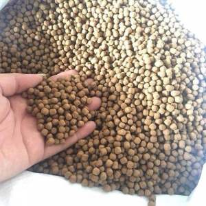 Cám cá Koi King Feed Super Growth - Tăng body đẹp lên màu rực rỡ