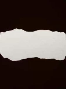 Alpicool Refrigerator Compressor: Dual-Purpose Refrigeration for Vehicles & Households