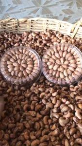 Hạt điều rang củi Bình Phước xếp hoa loại ngon nguyên hạt không ngon hoàn tiền