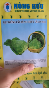 (Gói 10gr) Hạt Giống Cải Bắp Thúy Vân (V1641) NÔNG HỮU - Bắp cải trái tim ngọt giòn nhưng mềm thích hợp ăn sống