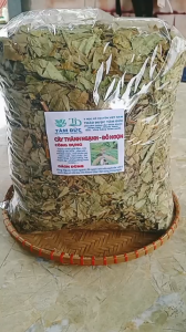 100g cây thành ngạnh sấy khô hữu cơ