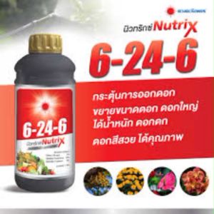 ปุ๋ยน้ำ 6-24-6 นิวทริกซ์ (ขนาด 1 ลิตร) ดวงตะวันเพชร