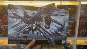 Mô Hình Lắp Ráp Gunpla HG 1/144 Rising Freedom Gundam (Movie SEED Freedom)